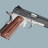 Pro Aegis II - 9L